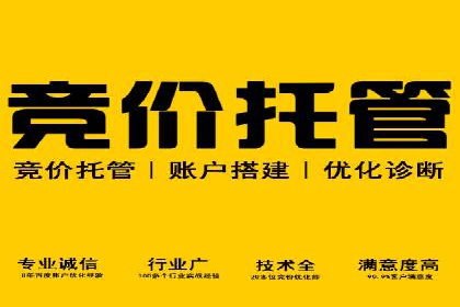 充值返点案例分析：成功案例解读